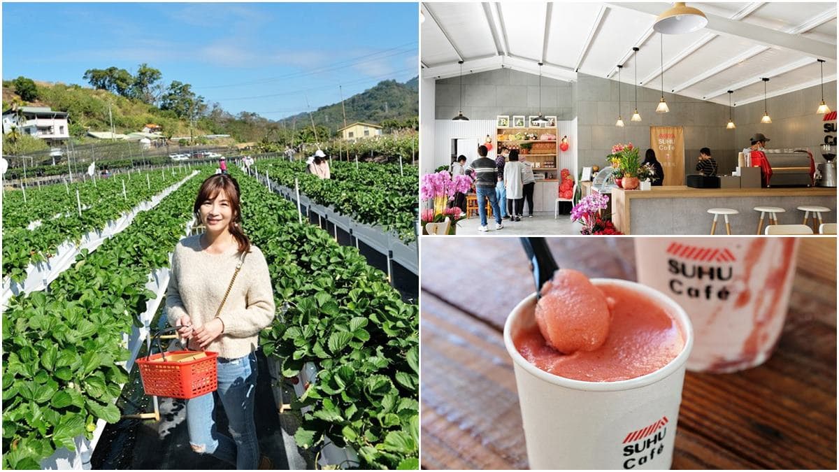隱身在咖啡廳的草莓園!苗栗「韓系咖啡館」能採大湖草莓,還要點綿密雪酪冰