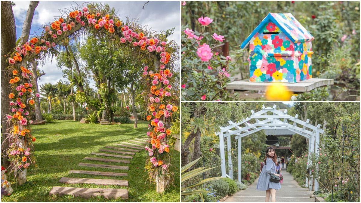 秒飛歐洲花園!苗栗「植物園區」花圈步道+荷蘭風車超好拍,還能喝手沖咖啡