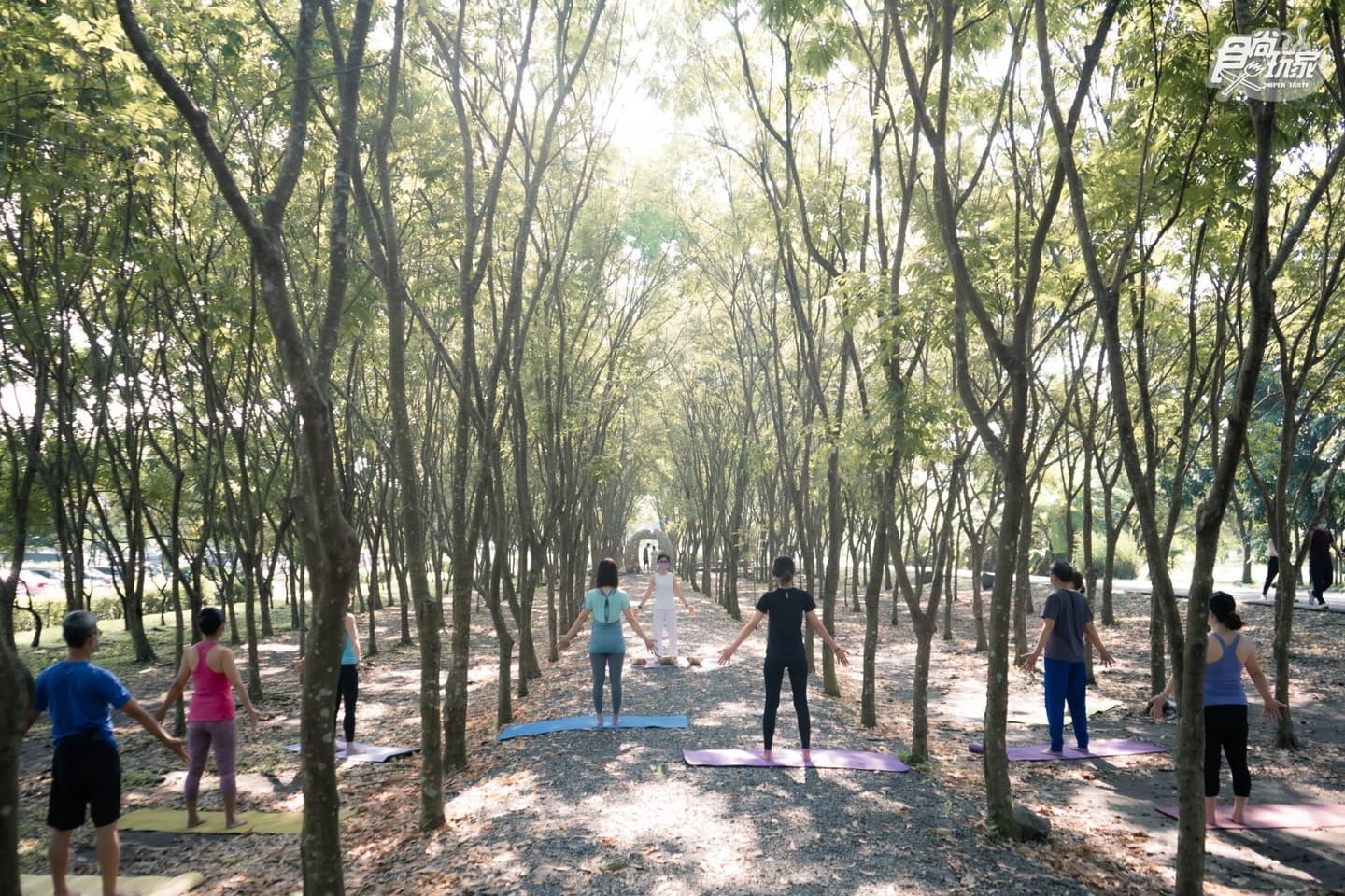 屏東最新療癒玩法!林學校4大體驗課程:在森林裡瑜珈、樹下品嘗原住民食物 屏東最新療癒玩法!林學校4大體驗課程:在森林裡瑜珈、樹下品嘗原住民食物