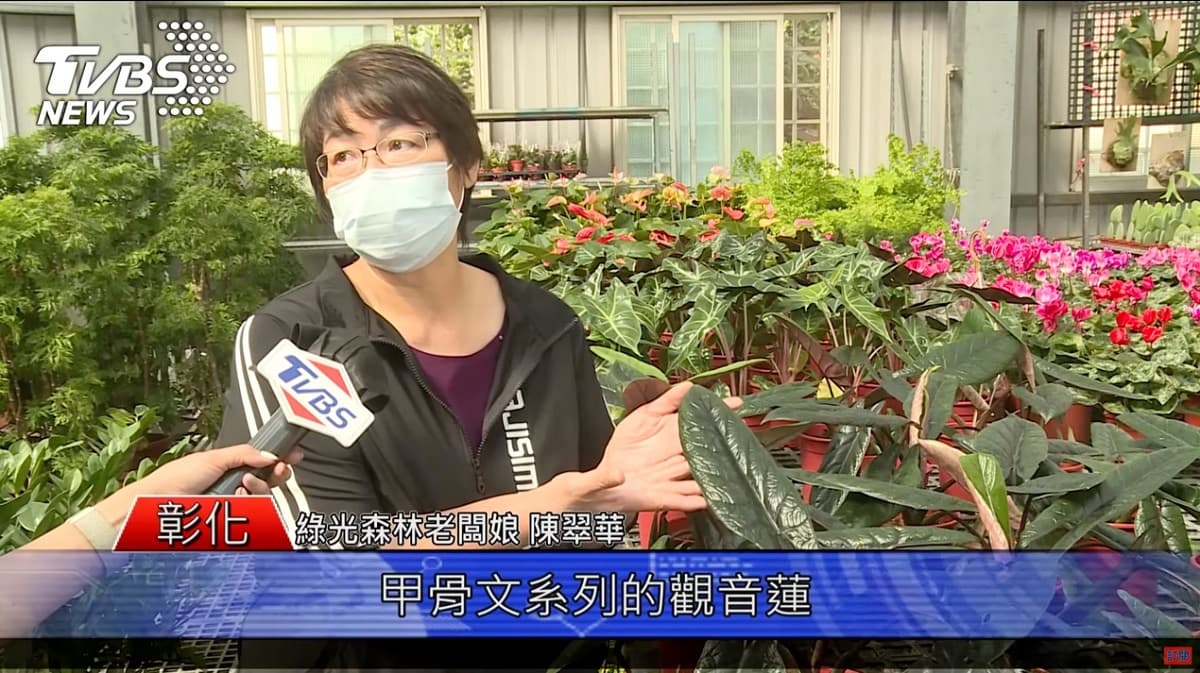 彰化田尾商圈身為「植物迷必訪」,二水商圈探訪昆蟲動物的「秘密基地」 彰化田尾商圈身為「植物迷必訪」,二水商圈探訪昆蟲動物的「秘密基地」