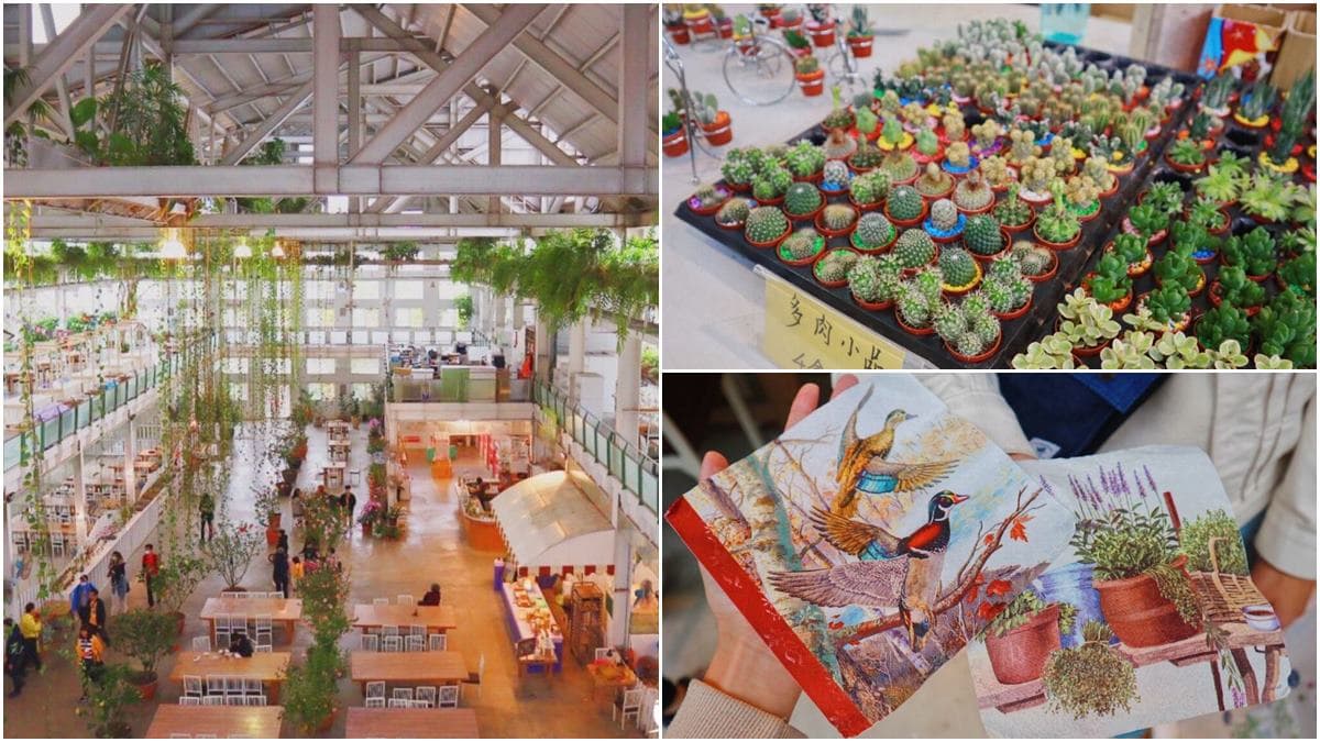 全台首座「香味主題館」!必拍夢幻白色玻璃屋、天空步道,還有彩繪盆栽DIY