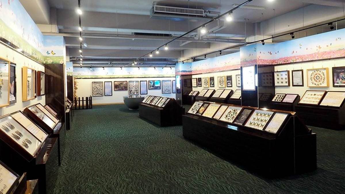 綺麗蝴蝶藝術館 img
