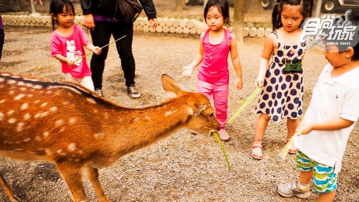 南元花園休閒農場