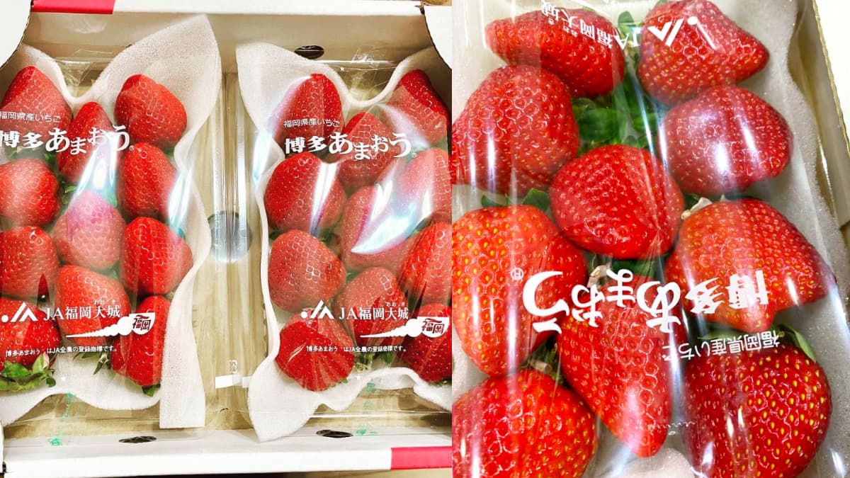 草莓控衝好市多!日本空運「福岡草莓」上架,鮮甜飽滿超Juicy