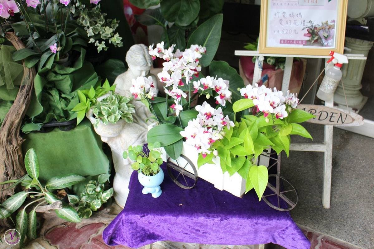 蘭科植物園
