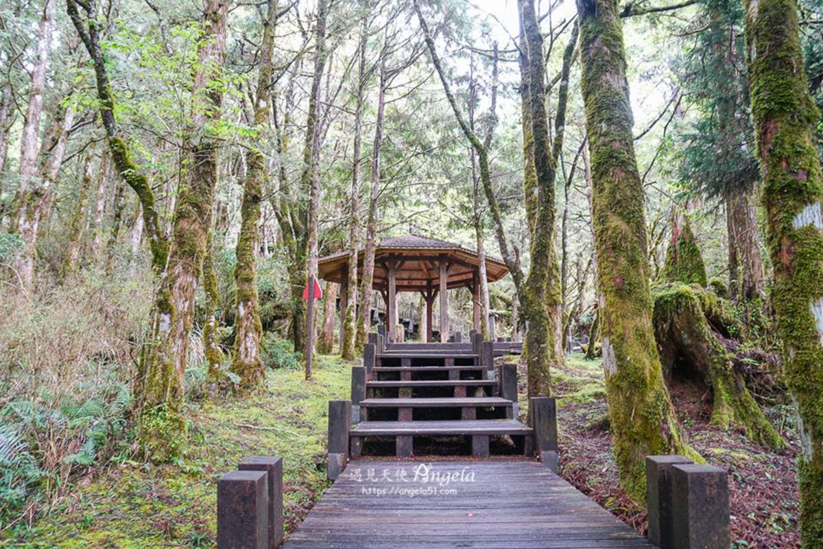 太平山原始林步道