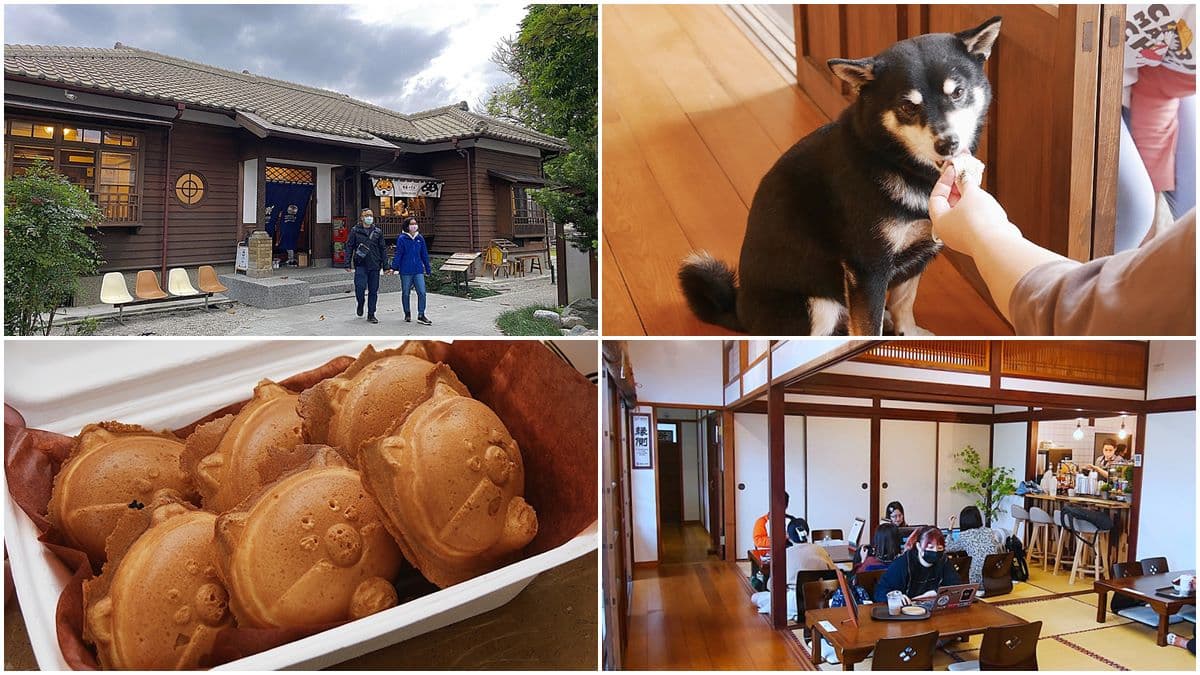呼叫柴犬控!花蓮「日式古蹟咖啡廳」打卡必點超萌柴田燒,還有店狗柴柴陪吃