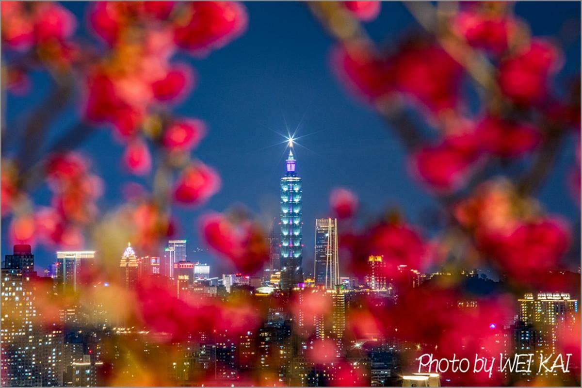 情侶約會必衝!雙北6處祕境賞「百萬夜景」,眺望整座市景、無死角101美景 情侶約會必衝!雙北6處祕境賞「百萬夜景」,眺望整座市景、無死角101美景