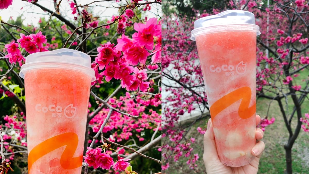 CoCo「珍奶買一送一」爽喝半個月!加碼IG最美小圓瓶、荔枝QQ球飲回歸 CoCo「珍奶買一送一」爽喝半個月!加碼IG最美小圓瓶、荔枝QQ球飲回歸
