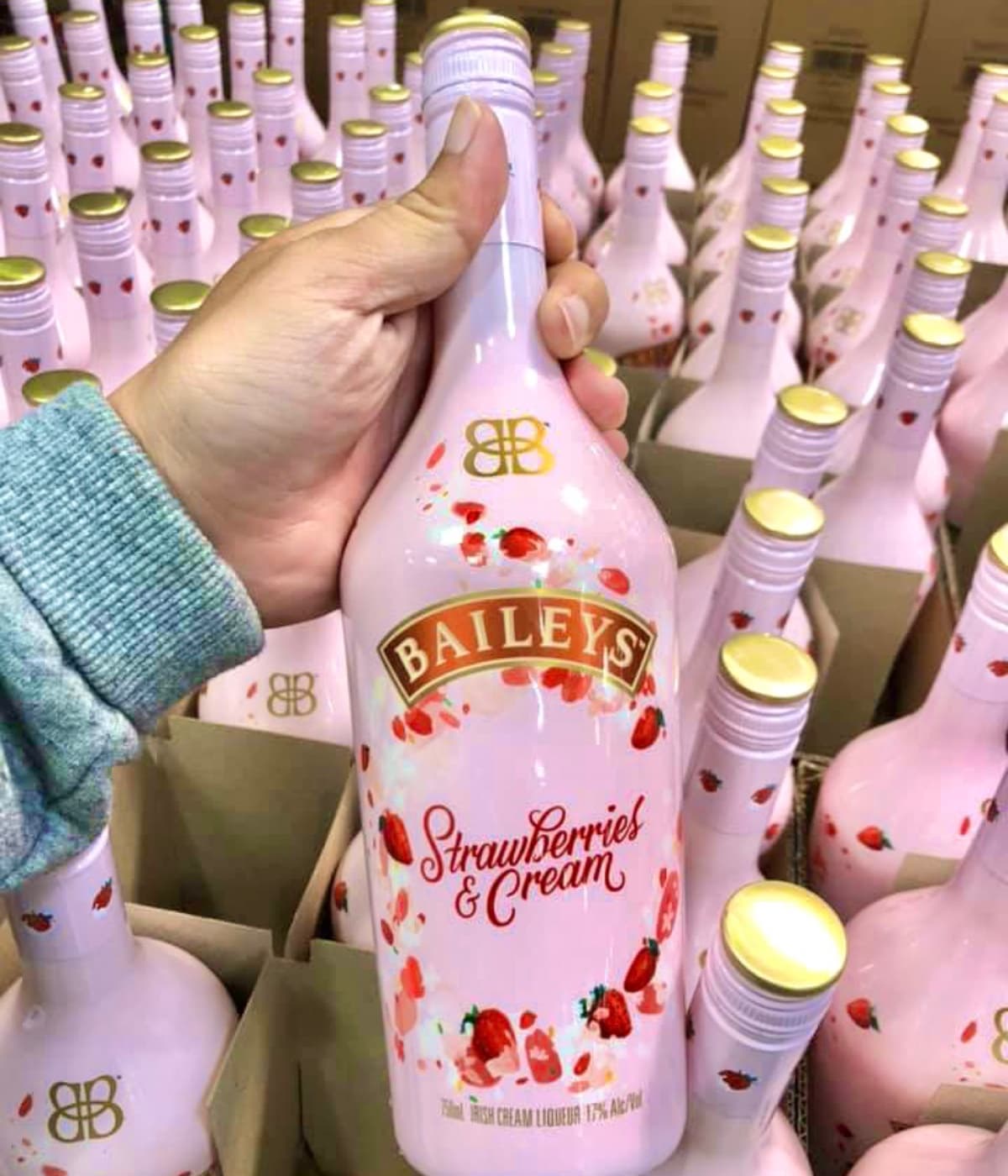 好市多3大夯品回歸!酒控先囤微甜白酒、草莓奶酒,還有CP值破表優格碳酸飲 好市多3大夯品回歸!酒控先囤微甜白酒、草莓奶酒,還有CP值破表優格碳酸飲