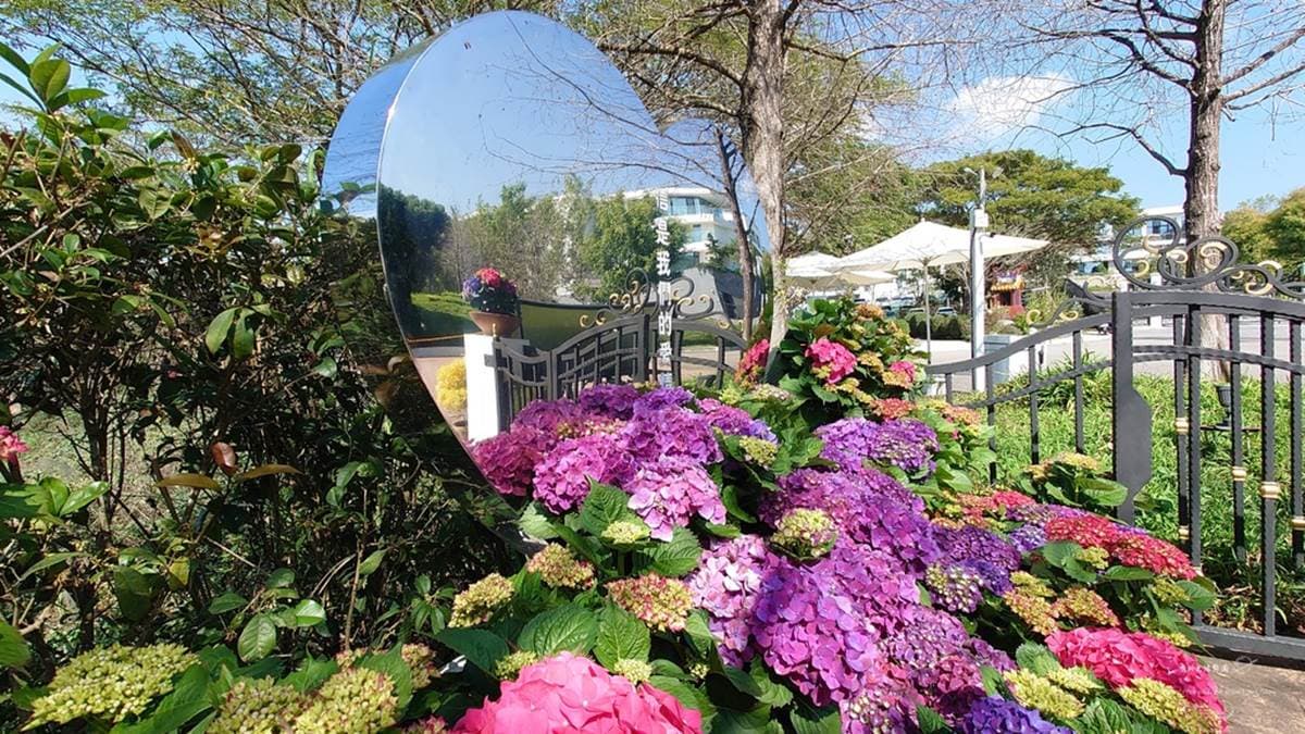 全台最早盛開繡球花海!台中「歐式莊園」打卡繽紛花牆,還能DIY浮游花瓶 全台最早盛開繡球花海!台中「歐式莊園」打卡繽紛花牆,還能DIY浮游花瓶