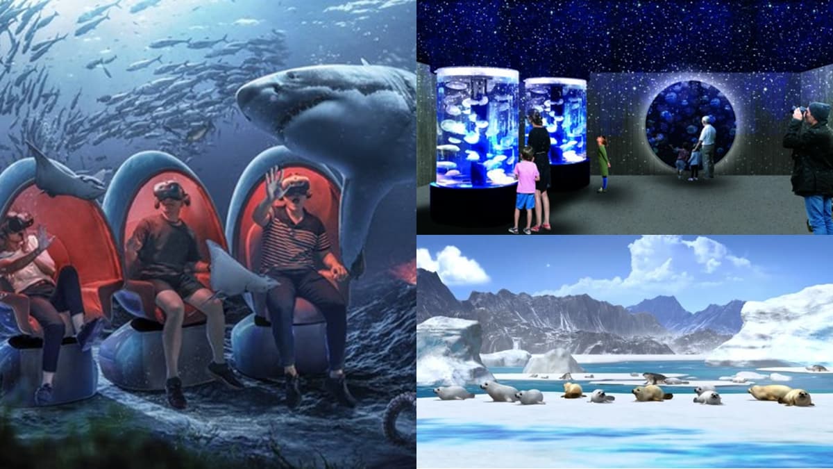 北北基首座水族館要開了!必衝「巨型觀賞缸、VR海底隧道」,基隆人3月搶先逛