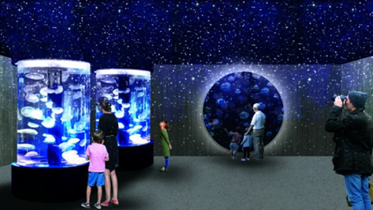 北北基首座水族館要開了!必衝「巨型觀賞缸、VR海底隧道」,基隆人3月搶先逛 北北基首座水族館要開了!必衝「巨型觀賞缸、VR海底隧道」,基隆人3月搶先逛