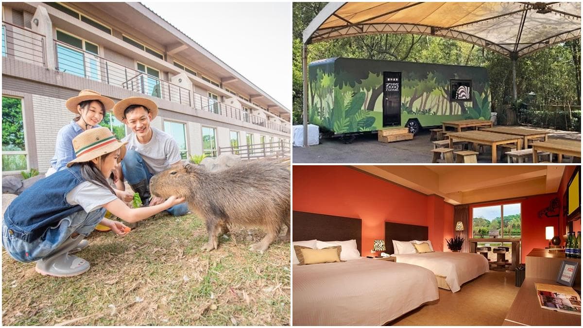 4人同行2人免費!爽住全台最大動物園飯店,還有全新「派對車廂」搶先體驗