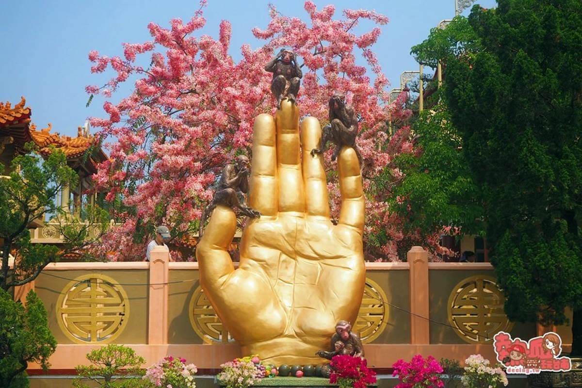 免門票拍到飽!夢幻「桃紅色花旗木」現正綻放中,粉嫩不輸日本櫻花海 免門票拍到飽!夢幻「桃紅色花旗木」現正綻放中,粉嫩不輸日本櫻花海