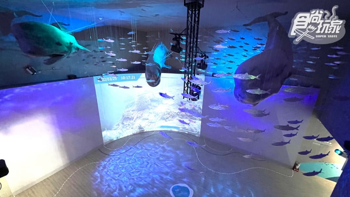 終於等到了!「北北基首座水族館」6月重啟:必衝絕美水母館、7米觀賞缸 終於等到了!「北北基首座水族館」6月重啟:必衝絕美水母館、7米觀賞缸