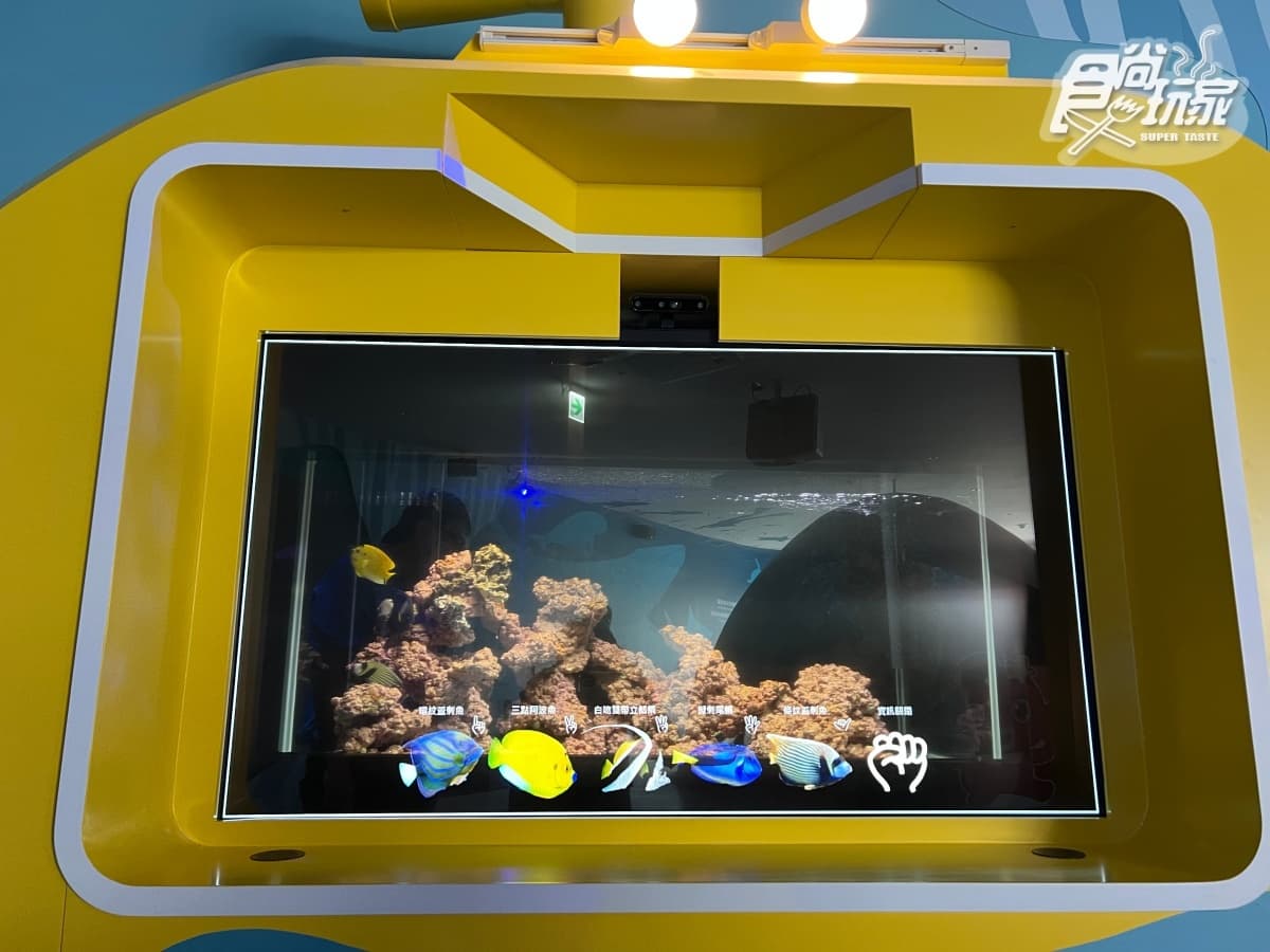 終於等到了!「北北基首座水族館」6月重啟:必衝絕美水母館、7米觀賞缸 終於等到了!「北北基首座水族館」6月重啟:必衝絕美水母館、7米觀賞缸