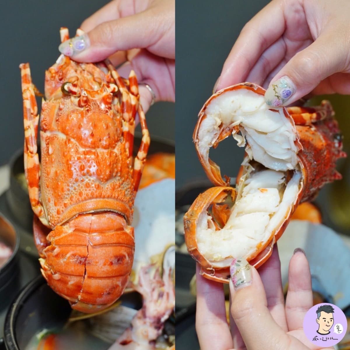 1碗吃得到9種海鮮!超浮誇鍋燒麵塞滿龍蝦、鮑魚,暴量蚵仔麵痛風也要吃 1碗吃得到9種海鮮!超浮誇鍋燒麵塞滿龍蝦、鮑魚,暴量蚵仔麵痛風也要吃