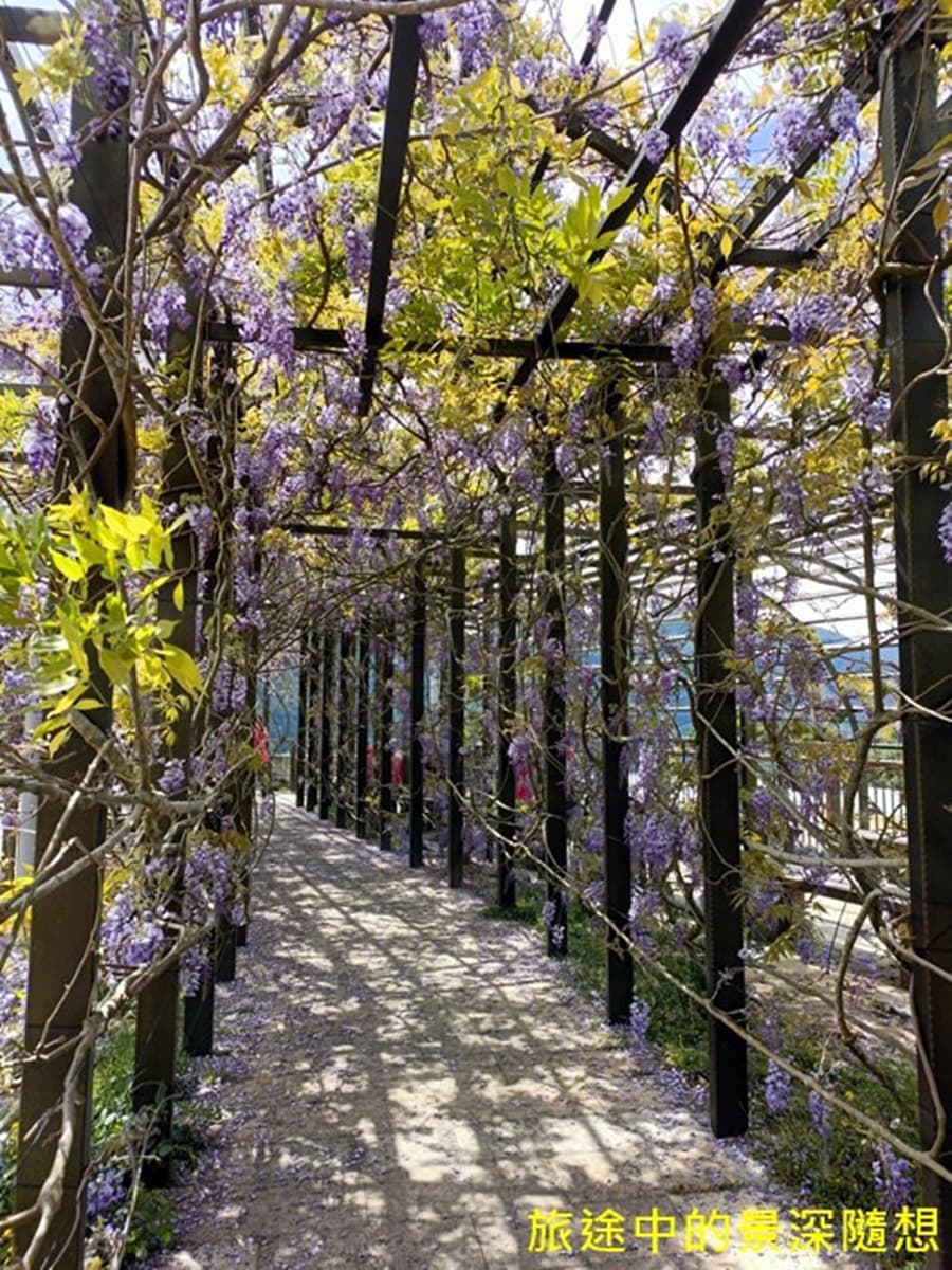假日衝阿里山放空!好評必訪5景觀餐廳:無敵山景配原民餐、隱藏版石屋祕境 紫藤花棚旁嗑好料!高CP值「無菜單料理」1人只要300元,還能賞超夢幻花海