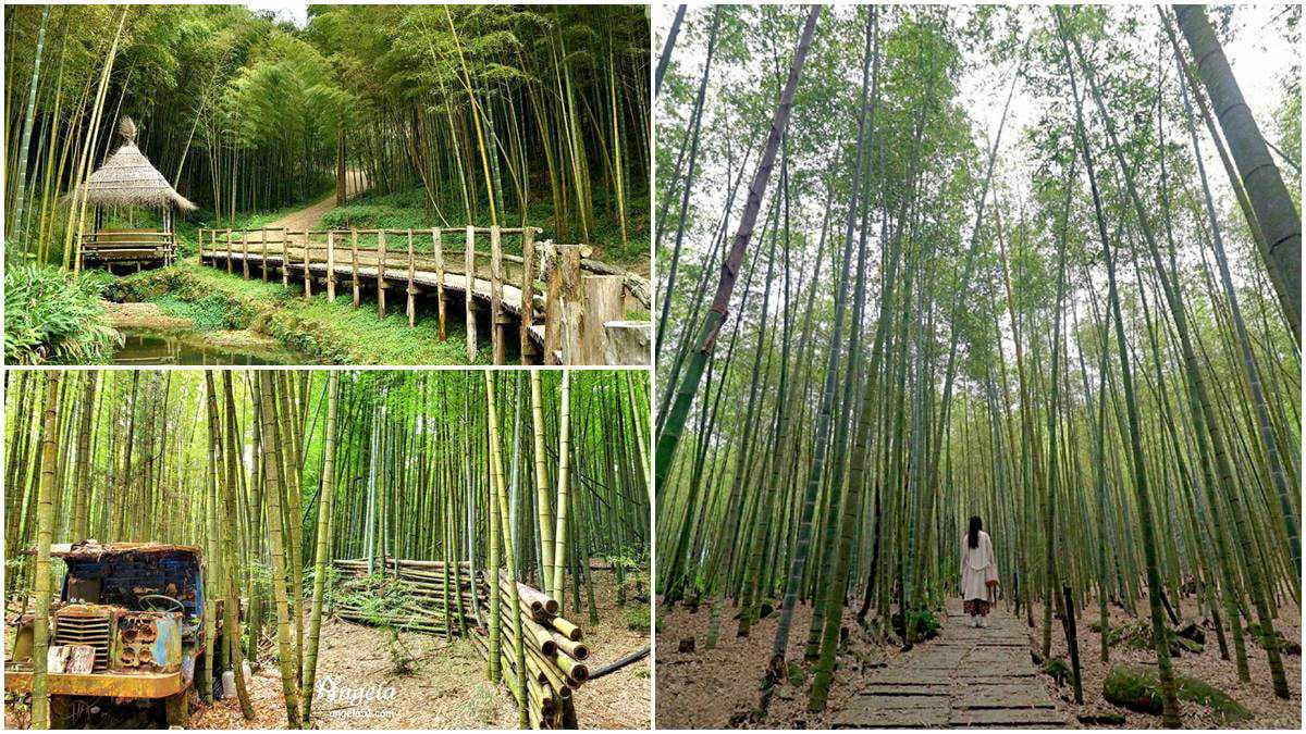 秒飛京都嵐山!北中南8大竹林景點:廢棄鐵牛車祕境、《臥虎藏龍》場景重現
