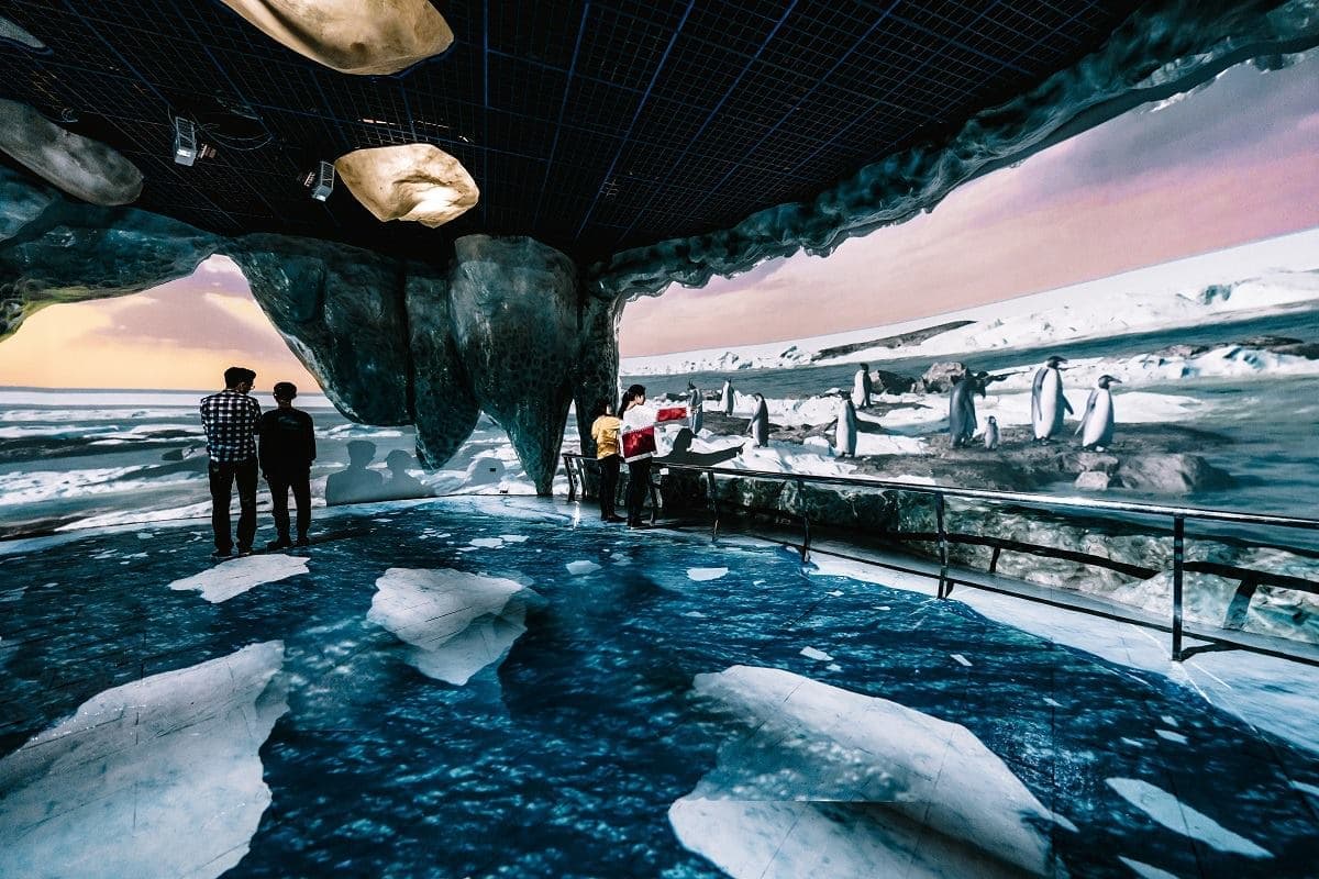 免費暢遊海生館1整年!「2022兒童海洋節」開跑,打卡沉浸互動展、極光隧道 免費暢遊海生館1整年!「2022兒童海洋節」開跑,打卡沉浸互動展、極光隧道