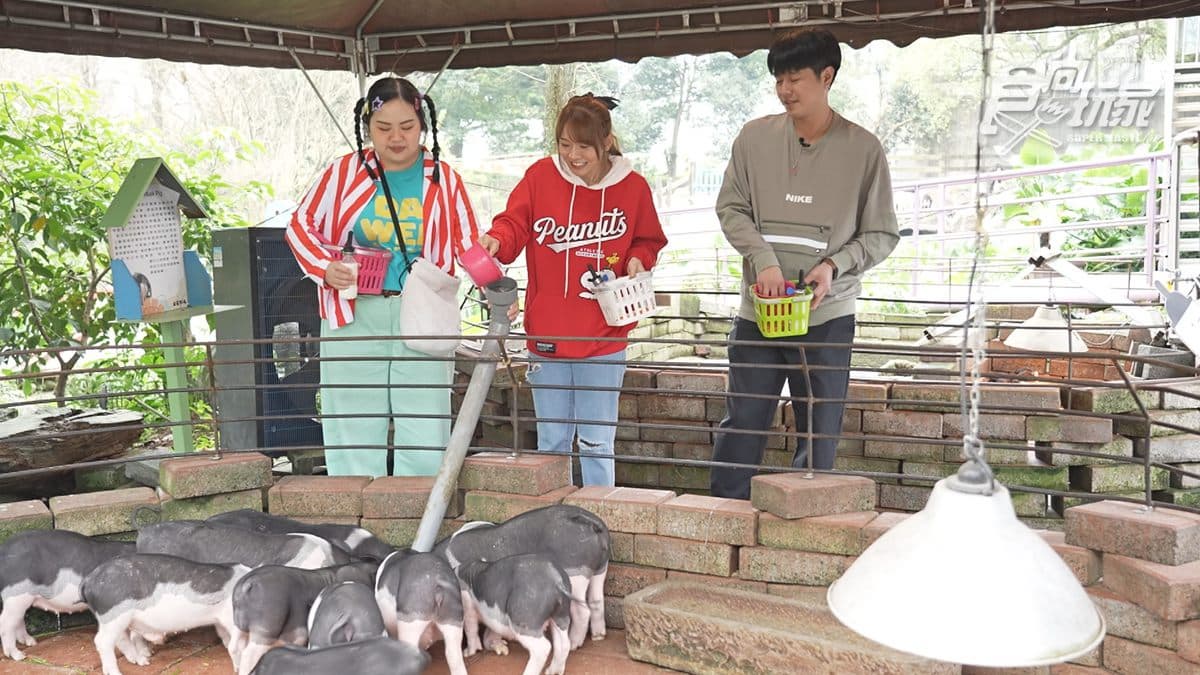 4/7《瘋狂總部》網路限定版影音:宜蘭農場餵食體驗