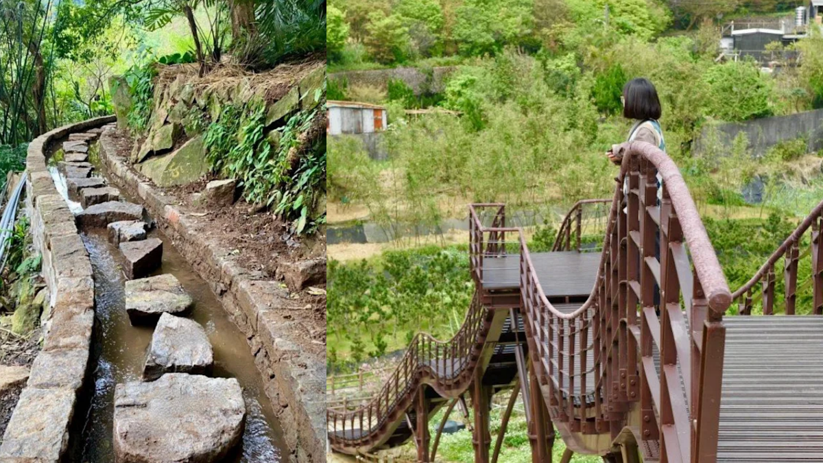 走跳士林隱藏祕境!「百年水圳古道+聚落稻浪棧橋」半日遊,再打卡親水跳石步道