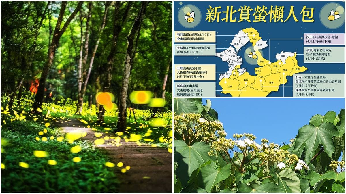 7大祕境1張圖搞定!新北最強「賞螢」攻略,還可眺望101夜景、賞油桐花