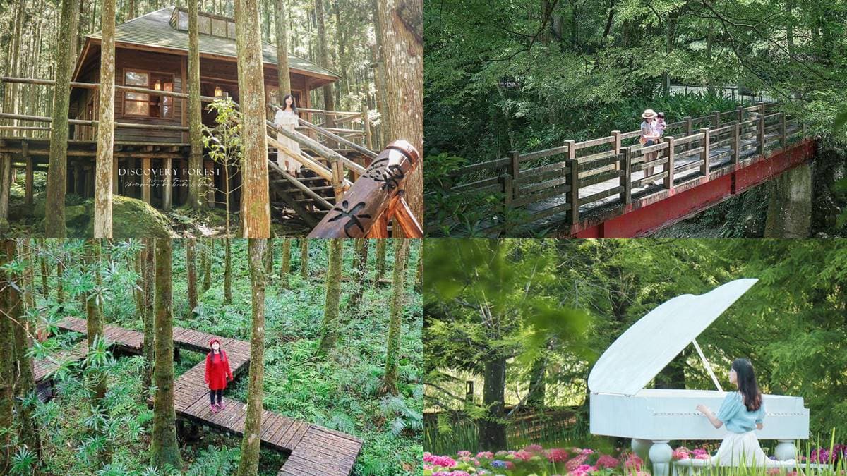 出遊不想人擠人!6大療癒「森林祕境」:打卡7層樓高空中走廊、祕境小木屋