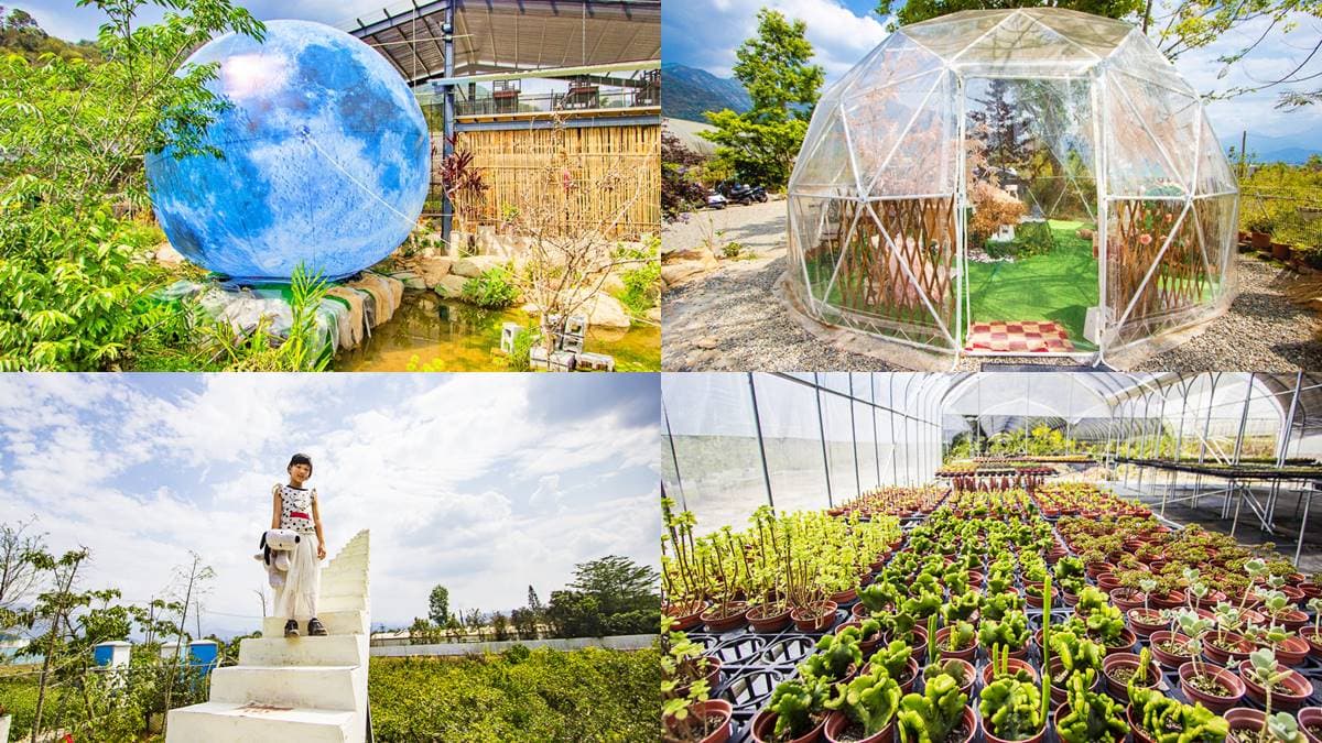 美拍夢幻泡泡屋、藍色星球!南投「免門票祕境」IG暴紅,還能體驗多肉盆栽DIY