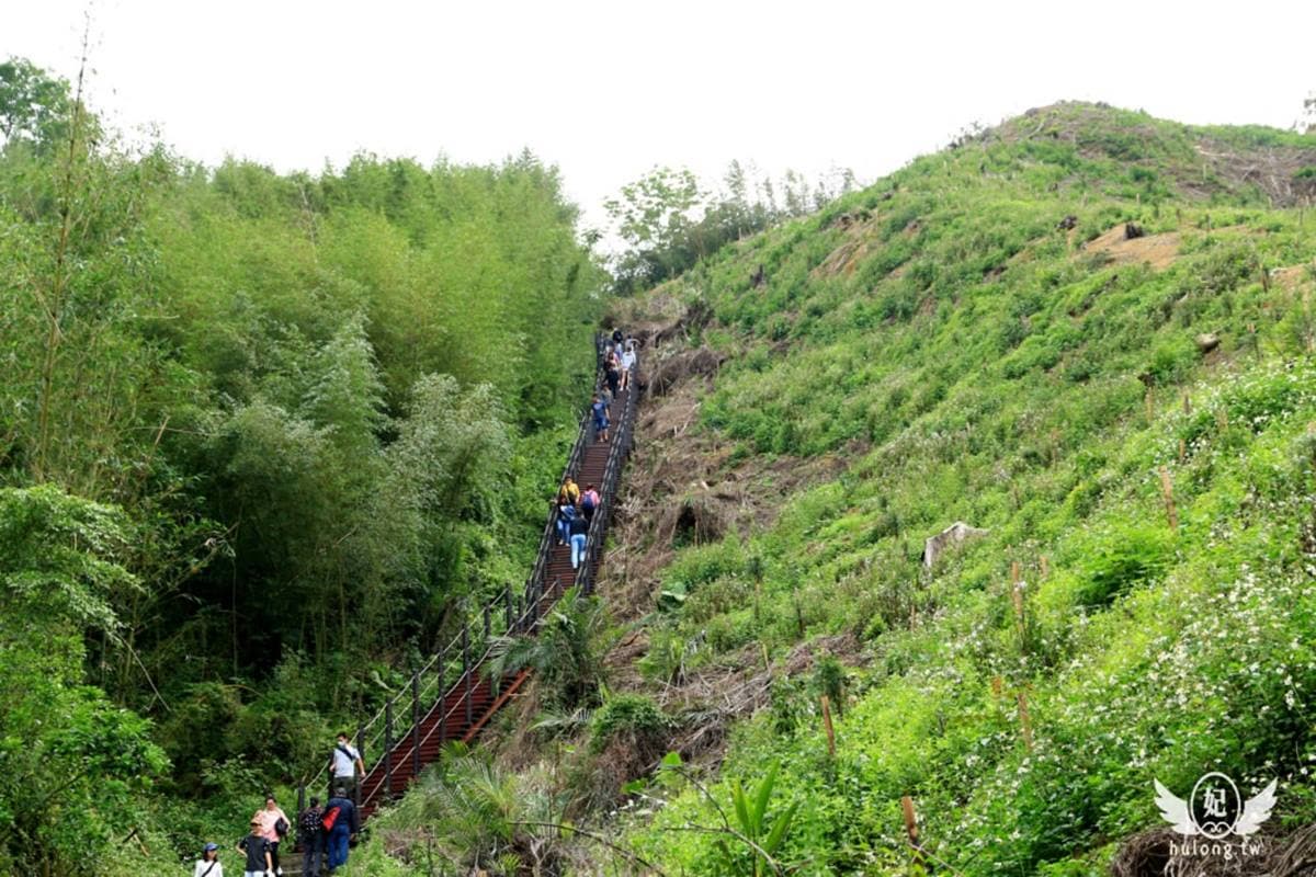 5月雪美到炸!桃竹苗5大賞桐步道+鄰近最推旅宿,還能順遊老街、吃美食 5月雪美到炸!桃竹苗5大賞桐步道+鄰近最推旅宿,還能順遊老街、吃美食