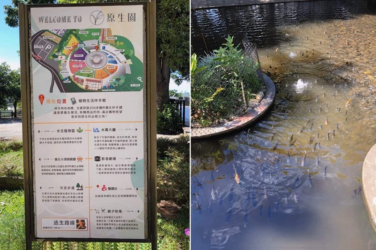 被山羊和鴕鳥包圍!隱藏版「親子牧場」免費供應牧草餵動物,還能合影鴕鳥蛋 被山羊和鴕鳥包圍!隱藏版「親子牧場」免費供應牧草餵動物,還能合影鴕鳥蛋