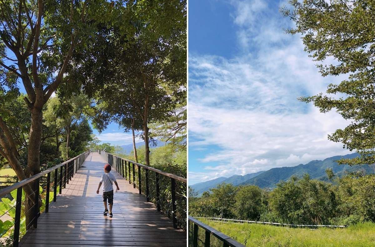 被山羊和鴕鳥包圍!隱藏版「親子牧場」免費供應牧草餵動物,還能合影鴕鳥蛋 被山羊和鴕鳥包圍!隱藏版「親子牧場」免費供應牧草餵動物,還能合影鴕鳥蛋