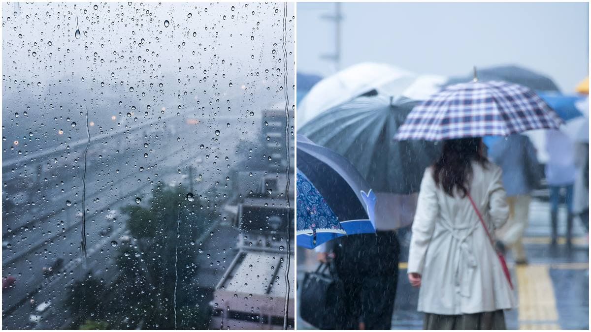首波梅雨報到!全台有雨「連下4天」、低溫下探16度,這週天氣一次看