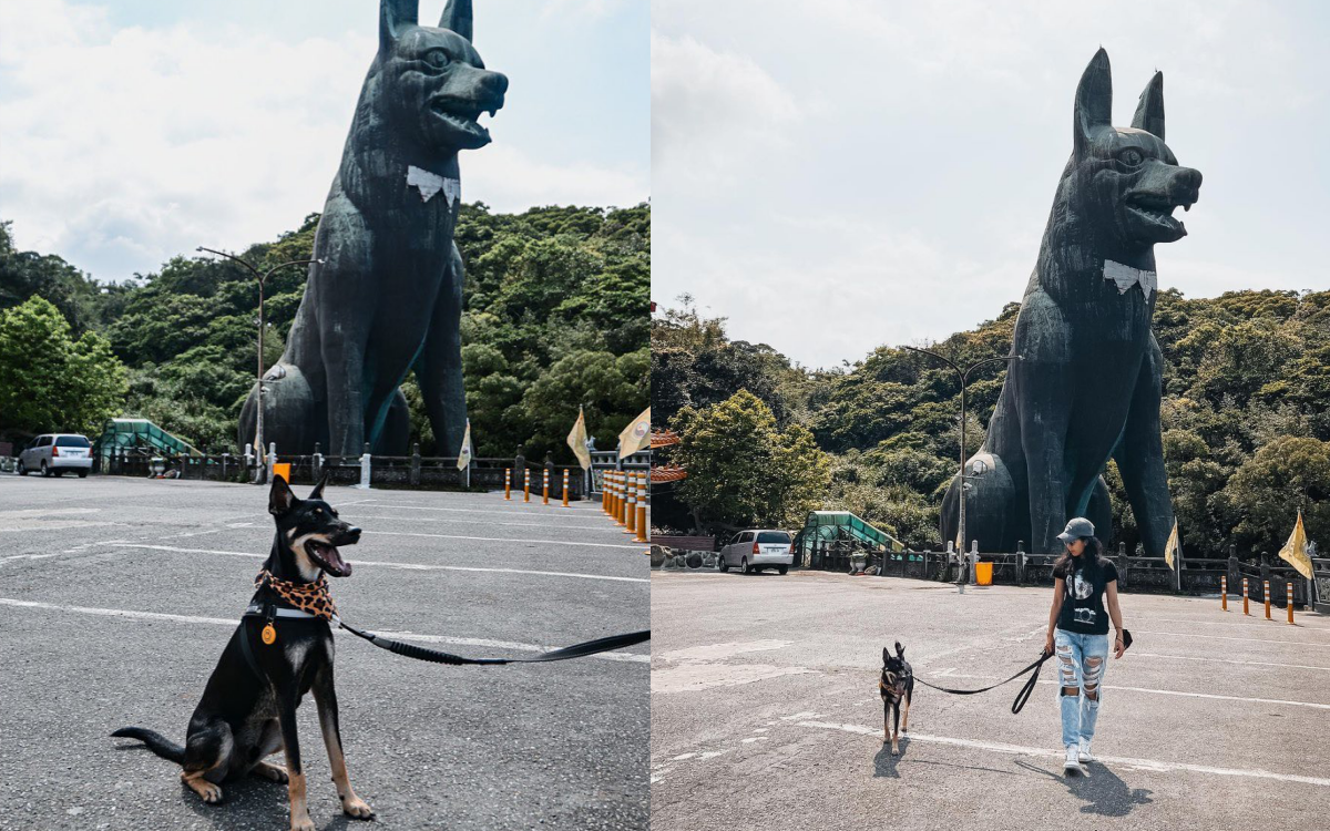 台版巨大「忠犬小八」免費拍!IG暴紅30米銅質犬像,再拜財神廟+念求財口訣 台版巨大「忠犬小八」免費拍!IG暴紅30米銅質犬像,再拜財神廟+念求財口訣