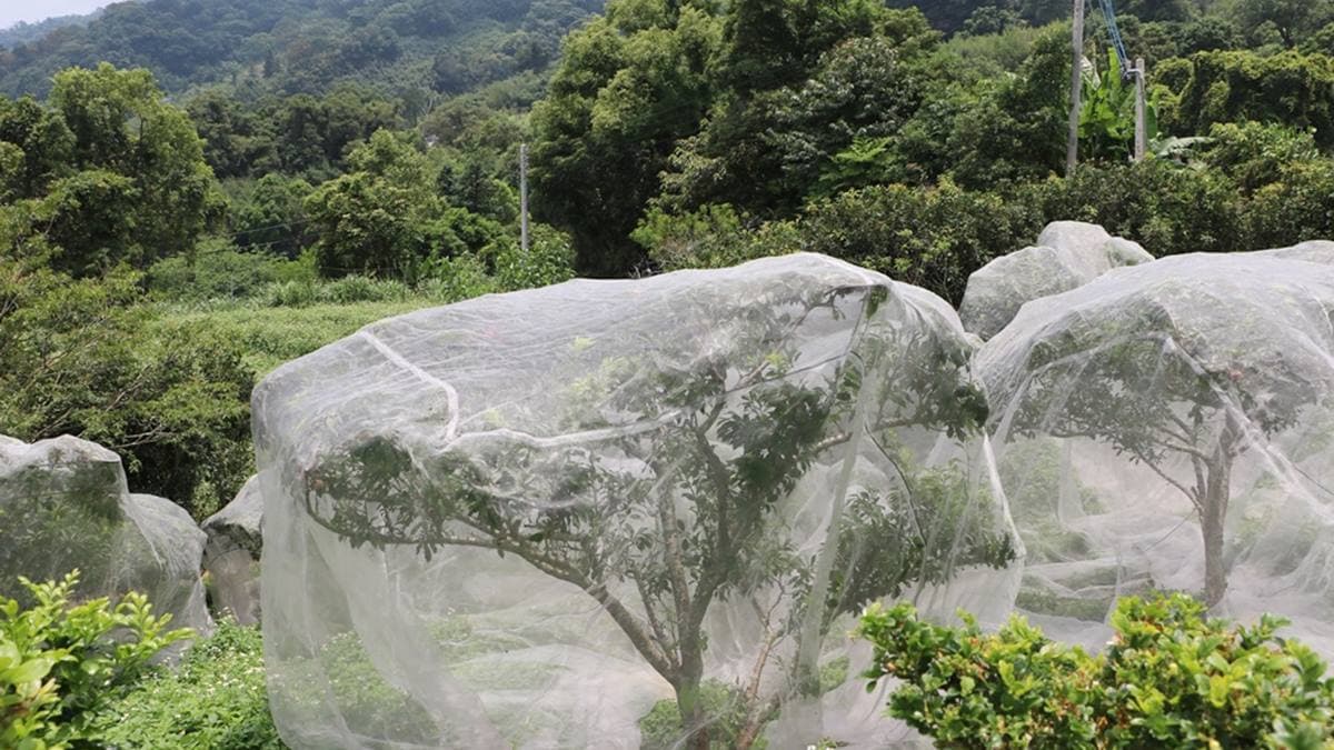 雲也居一休閒農場