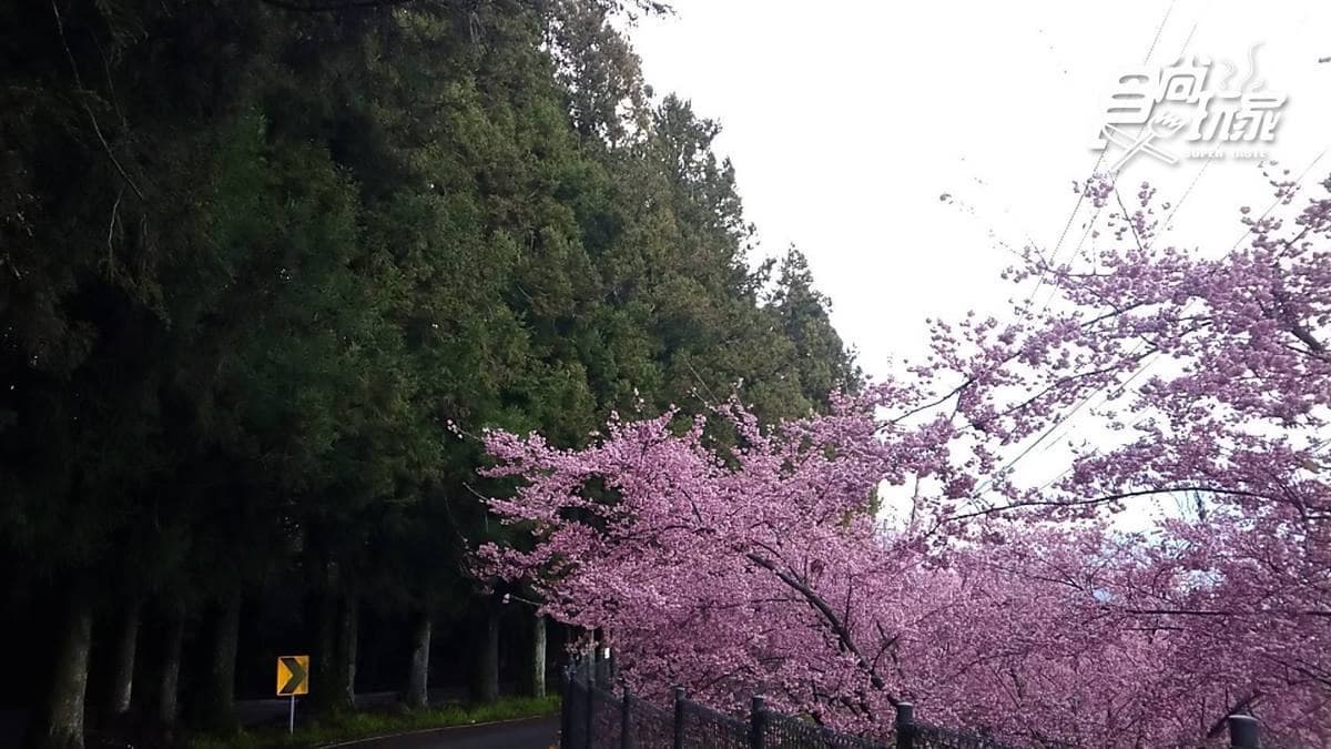千櫻園生態景觀園區