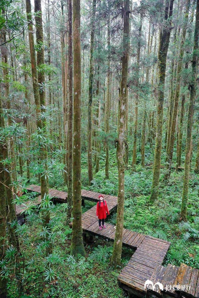 暴紅前快衝!18處戶外私房祕境:台版沖繩跨海大橋、偽日式枯山水、跳石步道 暴紅前快衝!18處戶外私房祕境:台版沖繩跨海大橋、偽日式枯山水、跳石步道
