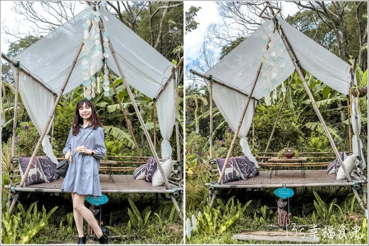 廢棄公車化身森林咖啡廳!「網美駕駛座」充滿綠植超療癒,南洋風涼亭也要拍 廢棄公車化身森林咖啡廳!「網美駕駛座」充滿綠植超療癒,南洋風涼亭也要拍
