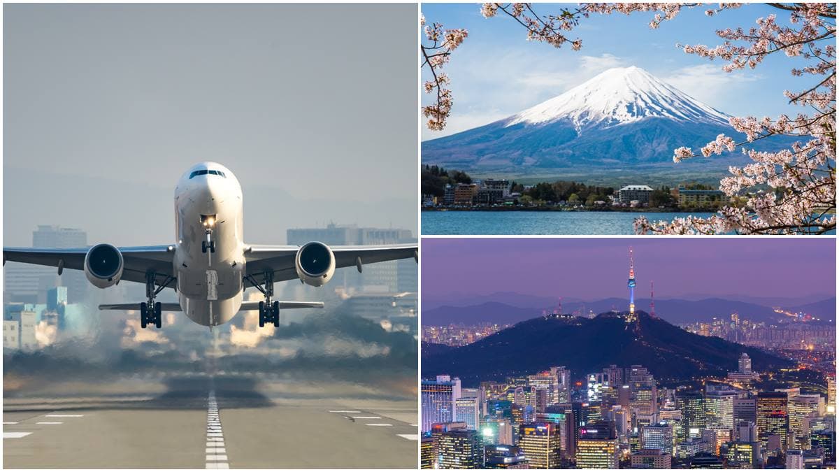 限時快搶!虎航5/25開賣「798元機票」,還有飛日韓不限航點套票