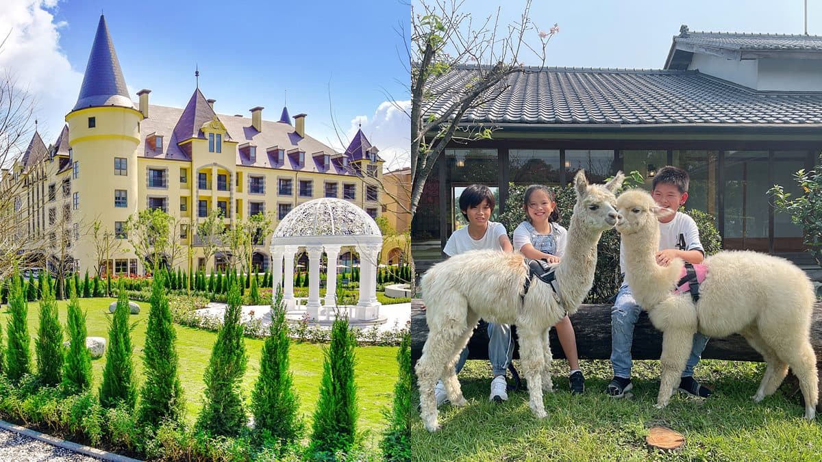 免費住1晚!全台8家旅宿6月優惠,繡球花露營車、日式園區和台版迪士尼都有