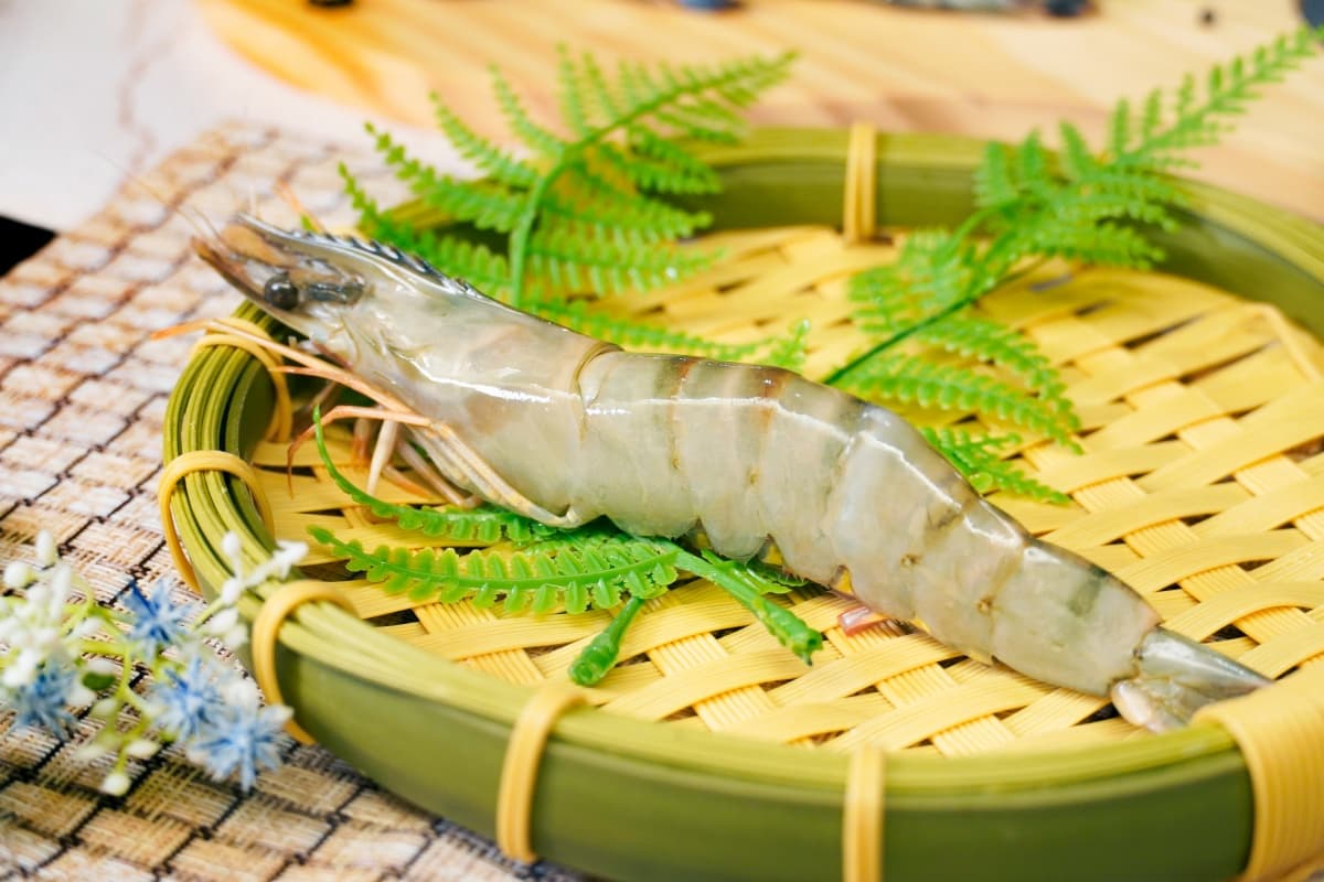 巨大海虎蝦、和牛吃到飽!4燒肉品牌「10月壽星」優惠,快tag天秤、天蠍座 巨大海虎蝦、和牛吃到飽!4燒肉品牌「10月壽星」優惠,快tag天秤、天蠍座