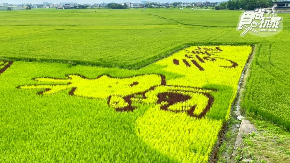 梅花鹿陪你看熱氣球!打卡「超萌斑比彩繪稻田+光雕秀」,把握週末最後2天 梅花鹿陪你看熱氣球!打卡「超萌斑比彩繪稻田+光雕秀」,把握週末最後2天