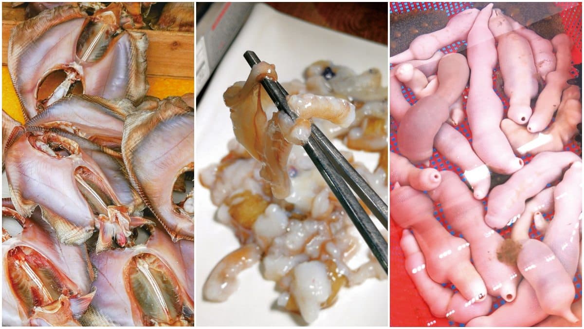 你敢吃嗎?韓國5道「暗黑海鮮」:生吞章魚、「廁所味」生魚片、超害羞海腸