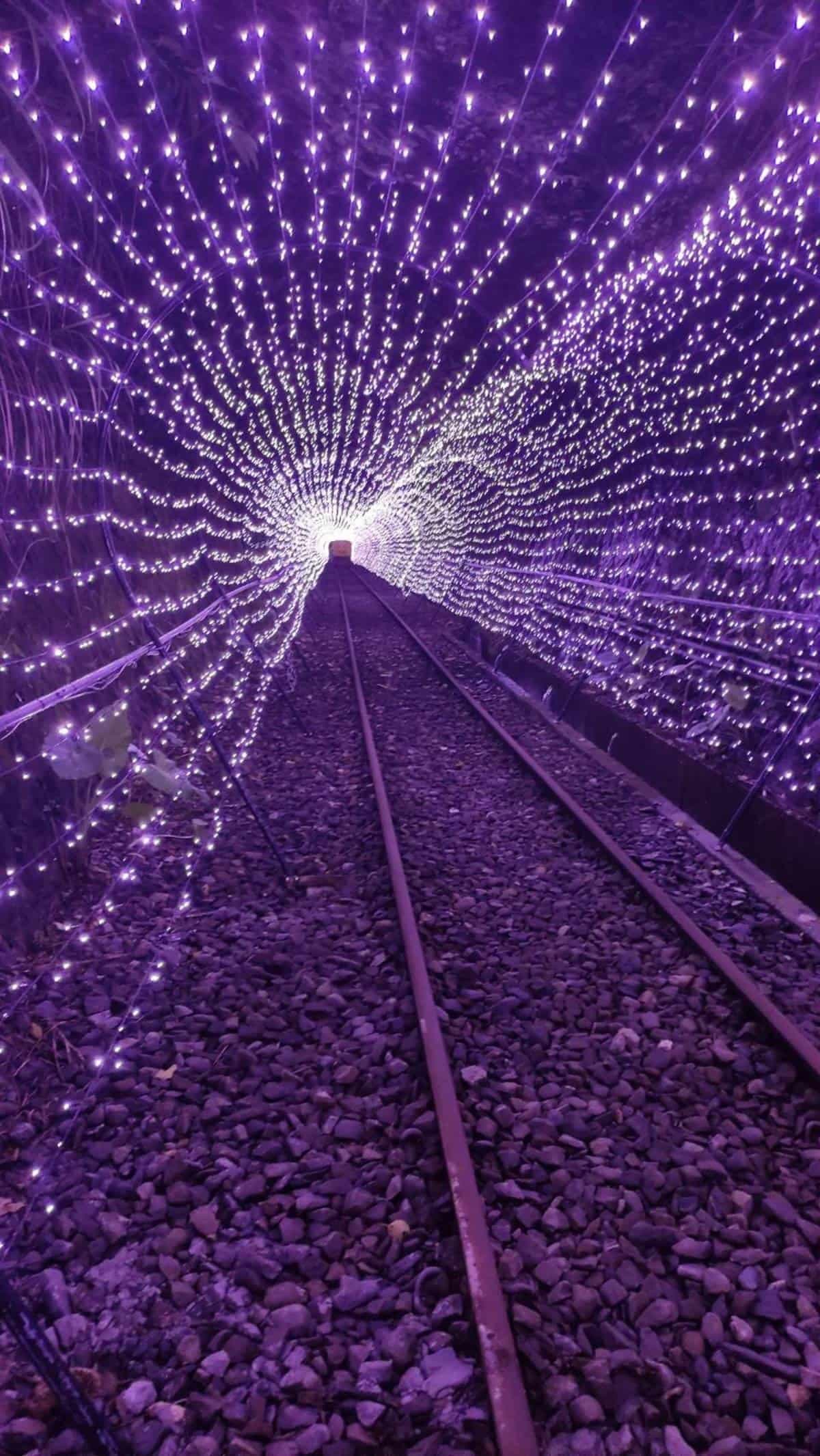 快搶訂票!瑞芳「最美鐵道自行車」重新開放,美拍全新海洋光隧道、星光班次 快搶訂票!瑞芳「最美鐵道自行車」重新開放,美拍全新海洋光隧道、星光班次