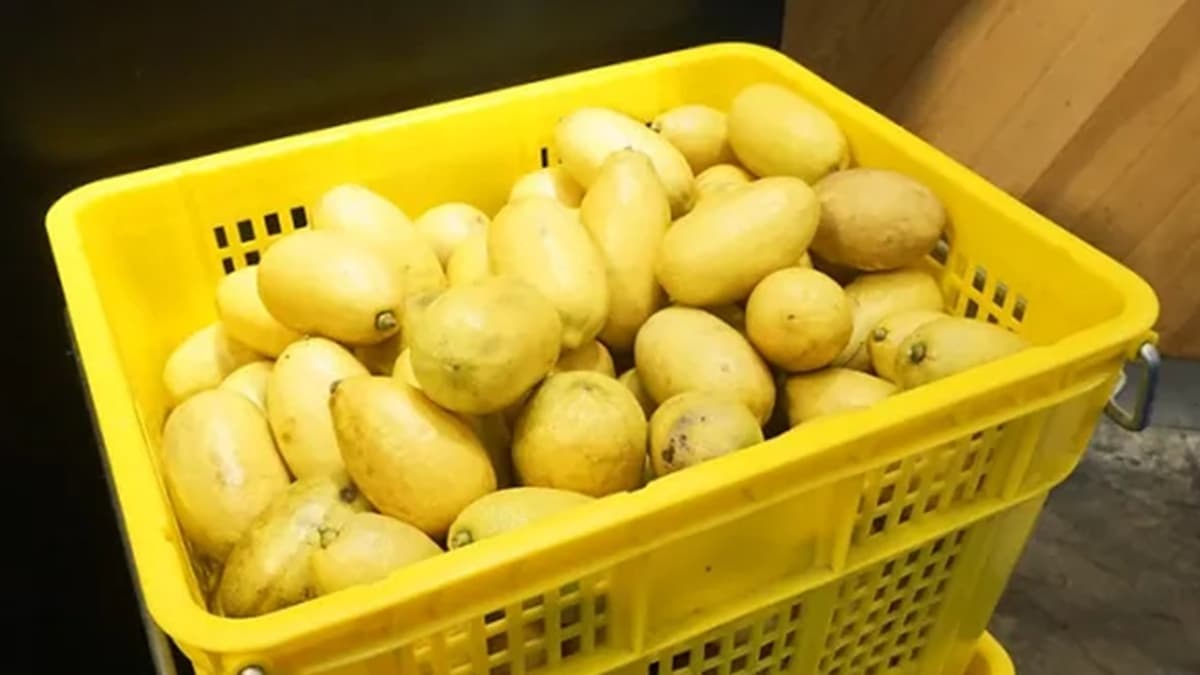 東海萊姆園(天母店)