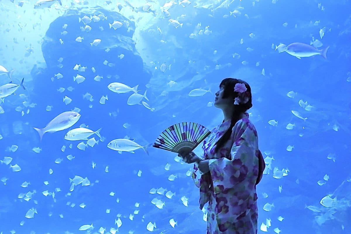 穿浴衣逛最美水族館!「Xpark涼夏祭」7月開跑,風鈴走廊、企鵝冰菓室超欠拍 穿浴衣逛最美水族館!「Xpark涼夏祭」7月開跑,風鈴走廊、企鵝冰菓室超欠拍