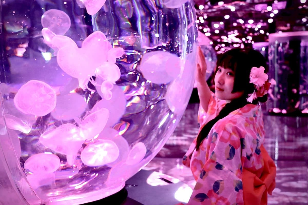 穿浴衣逛最美水族館!「Xpark涼夏祭」7月開跑,風鈴走廊、企鵝冰菓室超欠拍 穿浴衣逛最美水族館!「Xpark涼夏祭」7月開跑,風鈴走廊、企鵝冰菓室超欠拍