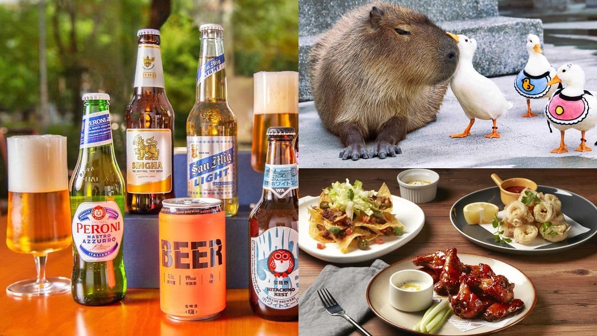 3飯店酒控好康!憑健康證明調酒喝到飽、免費動物體驗、每房爽送9國啤酒
