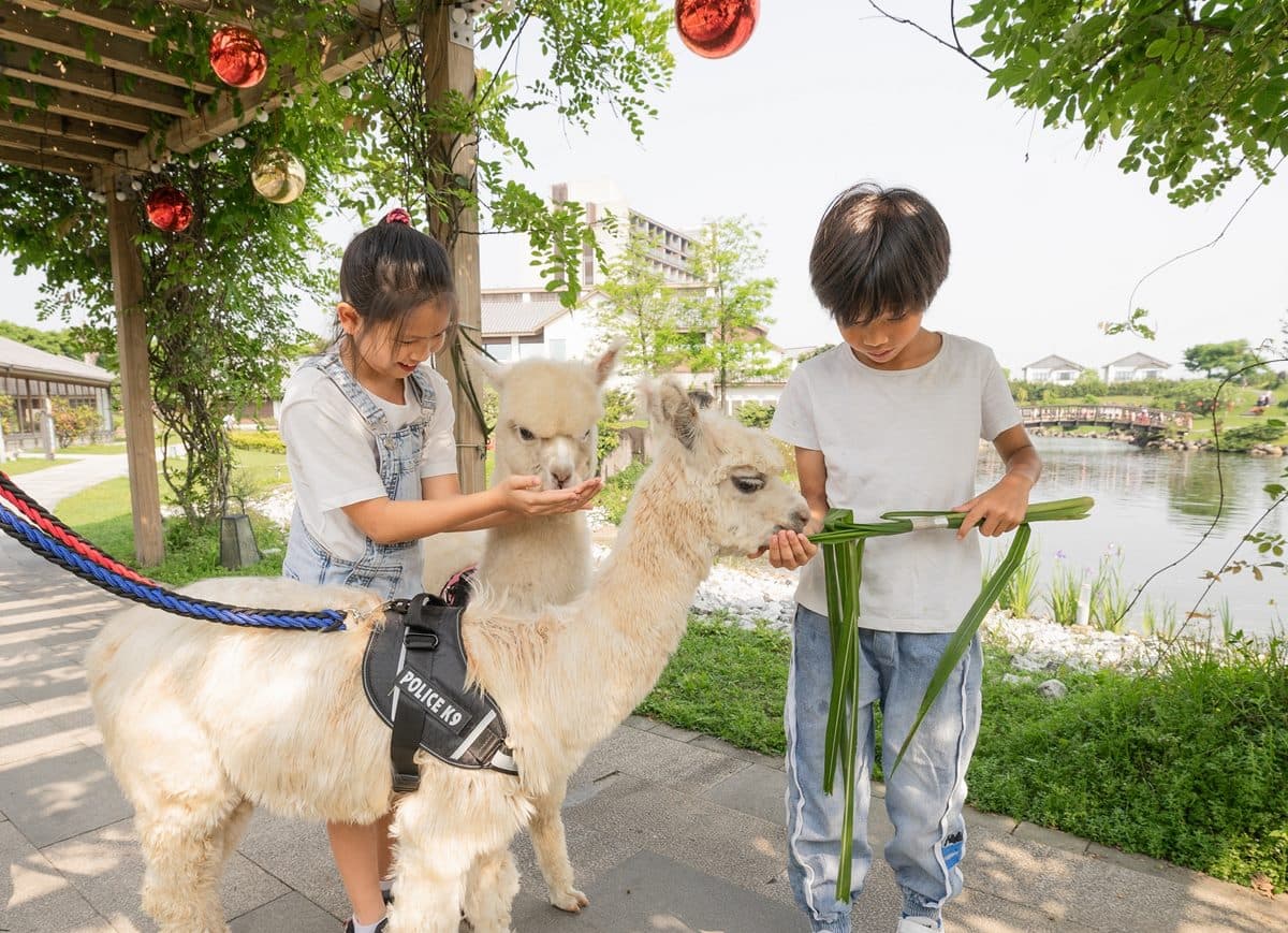 3飯店酒控好康!憑健康證明調酒喝到飽、免費動物體驗、每房爽送9國啤酒 3飯店酒控好康!憑健康證明調酒喝到飽、免費動物體驗、每房爽送9國啤酒
